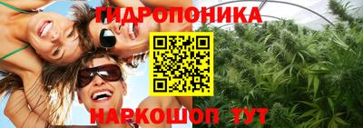 apvp Коммунар