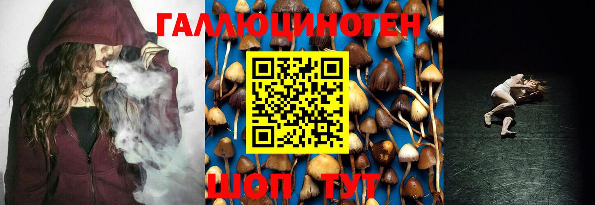 Галлюциногенные грибы мухоморы  Вход с VPN  Черногорск 